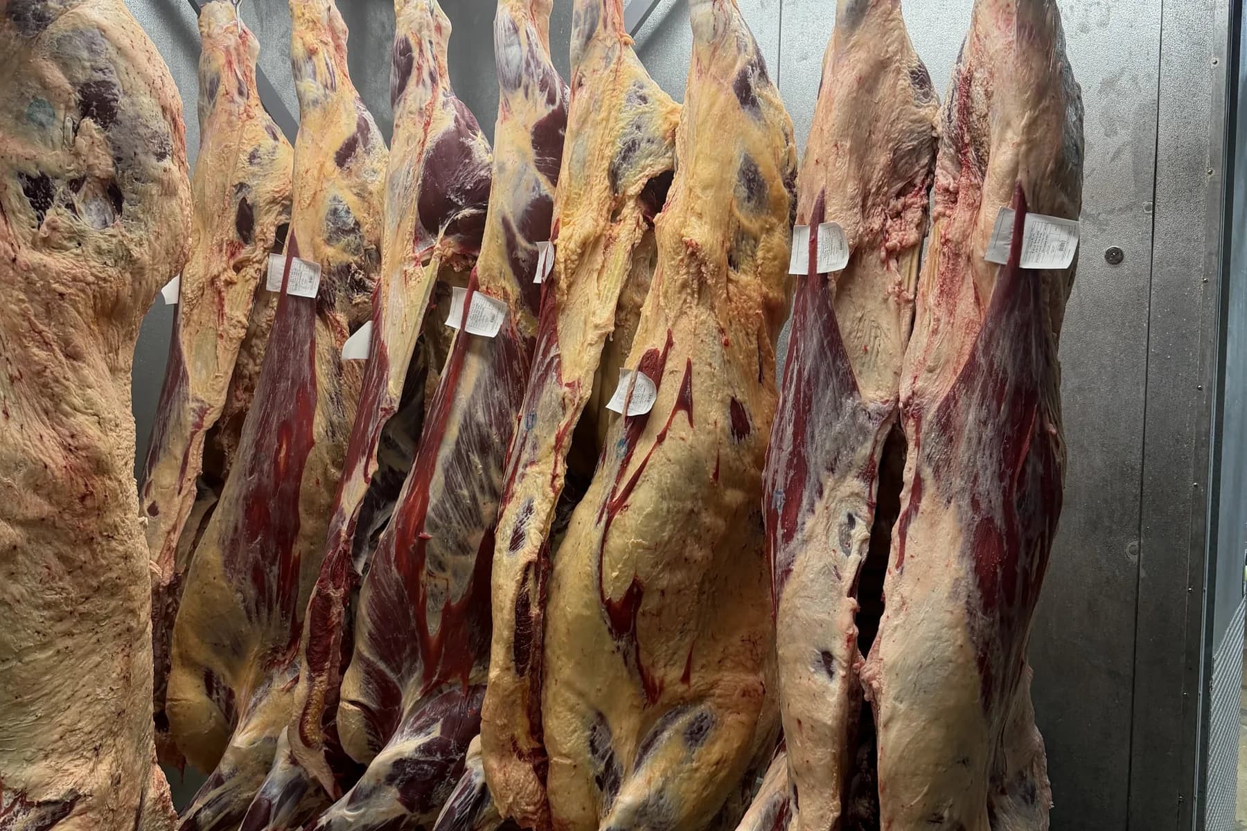 A row of USDA-inspected beef carcasses chilling on the rail